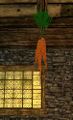 Homestead Hanging Carrots