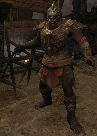 Mordor Soldier - Lotro-Wiki.com