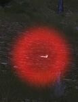 Red Firefly