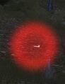 Red Firefly