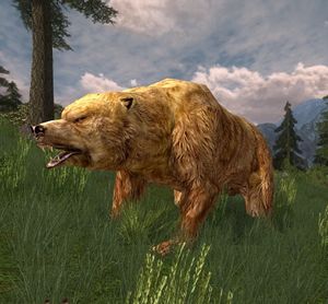 Mountain Brown-bear - Lotro-Wiki.com