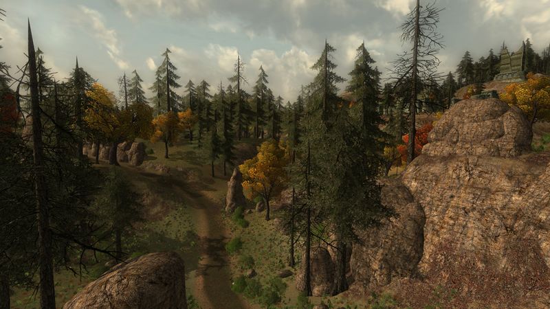 File:South Trollshaws Pine Forest.jpg