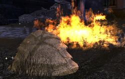 Image of Straw Bale
