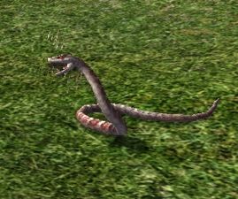 Agarnaith Snake