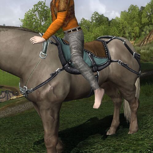Caparison of the Sporting Steed