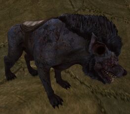 Ranulur The Warg Appearance Monster Player - Cosmetic Appearance Box (Wave 1)