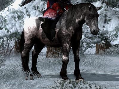 Shaggy Roan Coat: Black