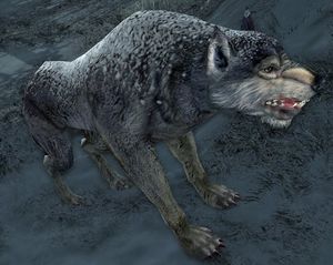 Silvan Red-fang.jpg