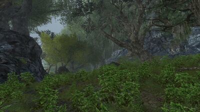 Corrupted forest south-most of the area
