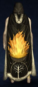 Hooded Cloak of Gondor's Aid