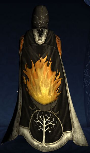 File:Hooded Cloak of Gondor's Aid.jpg
