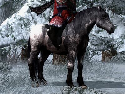 Shaggy Roan Coat: Sooty