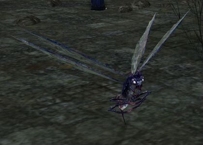 Twilight Fire-fly