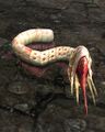 Thumbnail for version as of 17:07, 26 May 2025