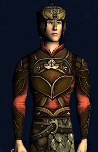 Tunic of the Autumn Traveller