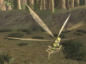 Bog-fly Hatchling.jpg