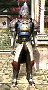 Image of Dol Amroth Quartermaster (Guardian Armour)