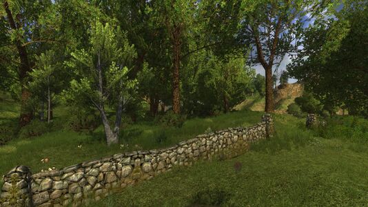 Low stone wall border with Evendim