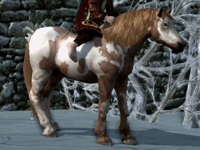 Over Coat: Blood Bay