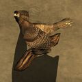 Pheasant Wall Trophy