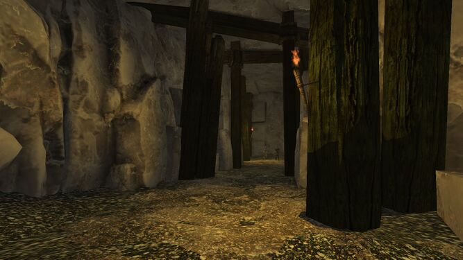 Tunnels in the Fane