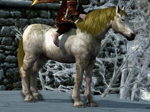 Fleabitten Coat: Dark Bay