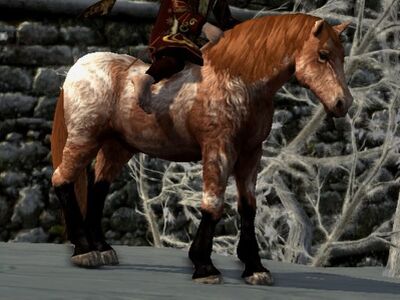 Shaggy Roan Coat: Copper