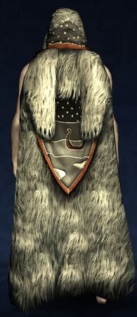 Bearskin Winter Cloak