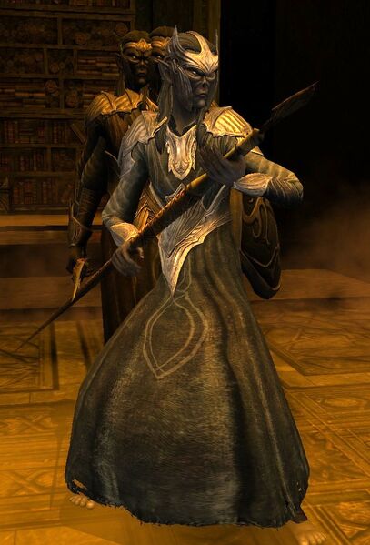 File:Sage of Sagush.jpg