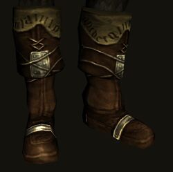 Boots of the Learned