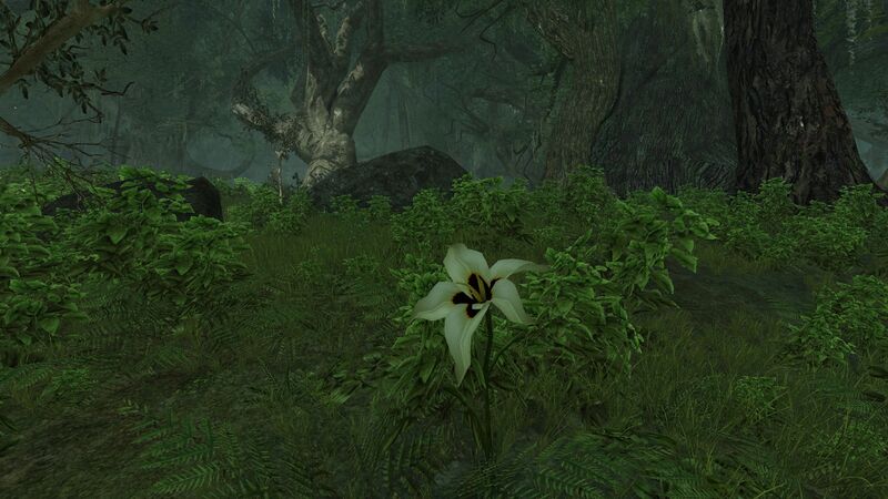 File:Cordofoneth's Flower.jpg
