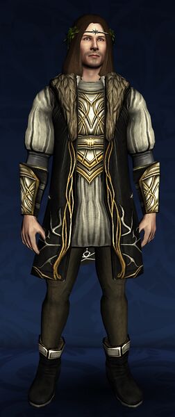 With matching circlet, tunic, and boots