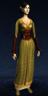 Long-sleeved Summer Dress