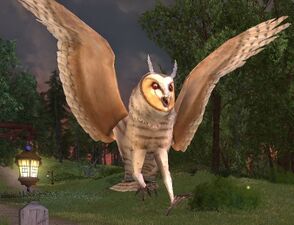 Windfell Owl