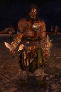 Image of Dunlending Warrior