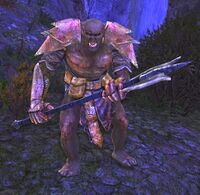 Mordor Captain (Sutcrofts) - Lotro-Wiki.com