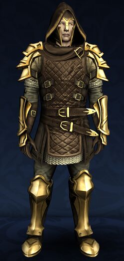 Pristine Heavy Delving Armour