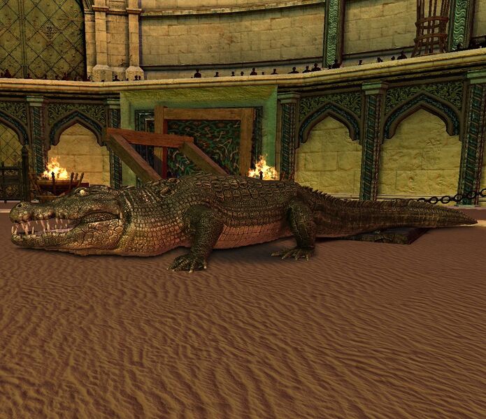 File:Salt-water Crocodile.jpg