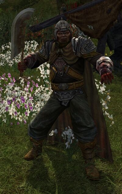 Half Orc Sentry Cardolan Lotro Wiki