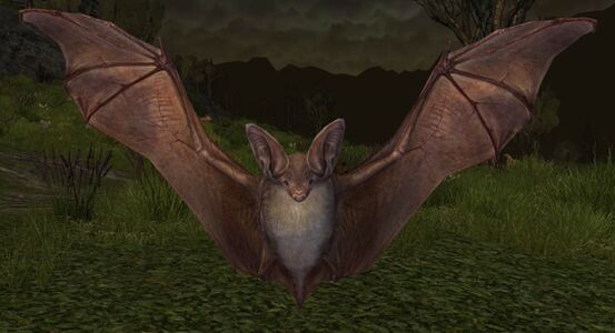 Malevolent Shadow-wings have been roused by the evil influence in eastern Parth Aduial.