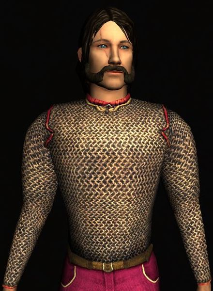 File:Chainmail Jacket 3 Shire-plum.jpg