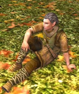 Image of Elven Soldier