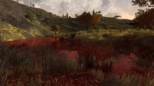 Crimson tinted pond in the marsh