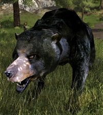 Lord of the Stone-den