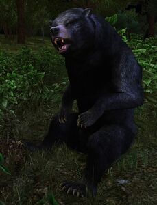 Image of Hunting Bear
