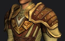 Town-saver's Shoulders