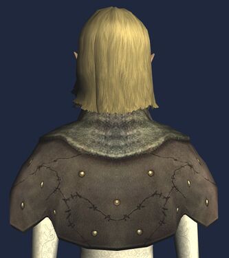 Back