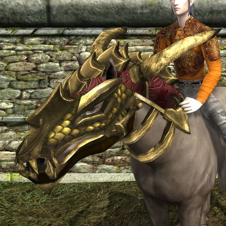 Item Head Piece Of The Unflagging Dragon Lotro Wiki