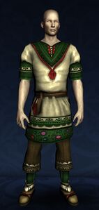 Tunic Set of the Mountain Meadow