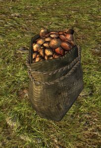 Sack of Scrubbed Potatoes